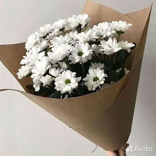 Хризантема Доставка цветов Букеты