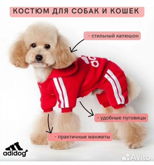 Одежда для маленьких собак xs