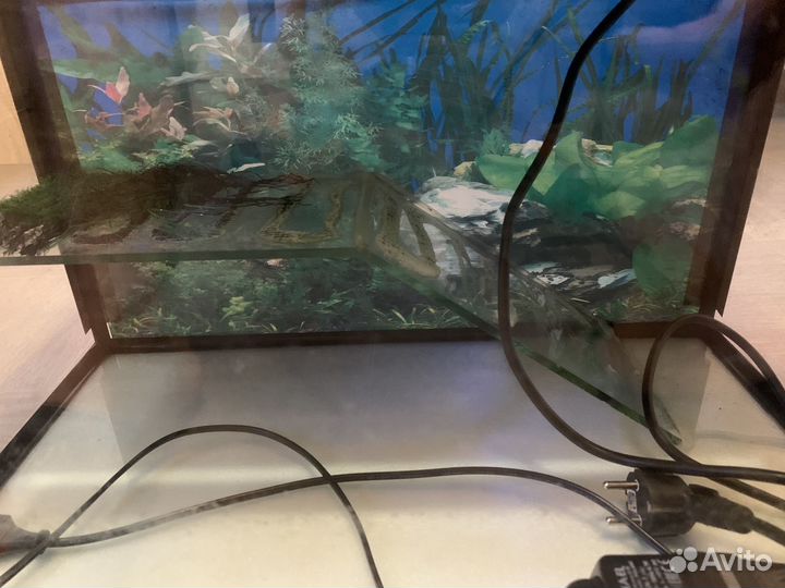 Террариум для черепахи