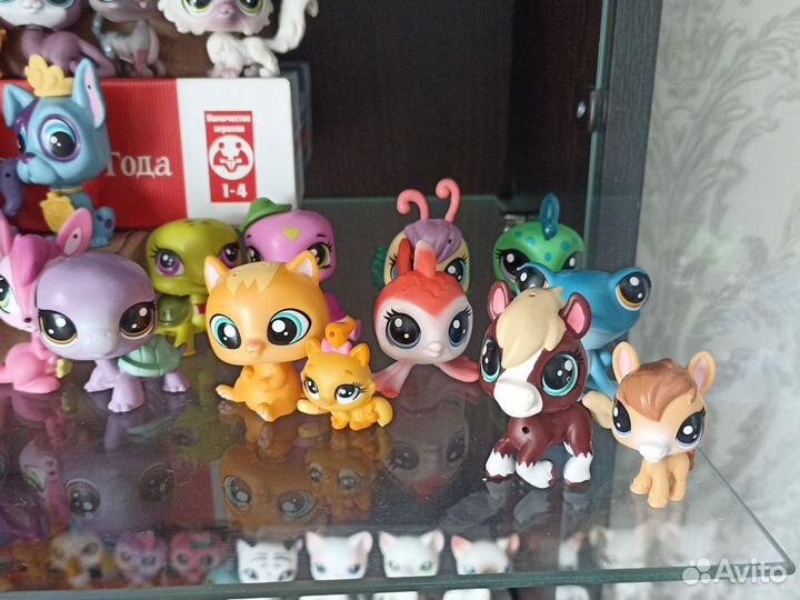 Littlest pet shop