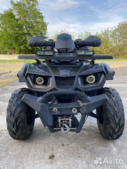Avantis hunter 200 BIG