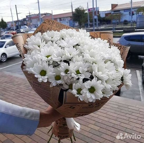 Хризантема Букеты с доставкой