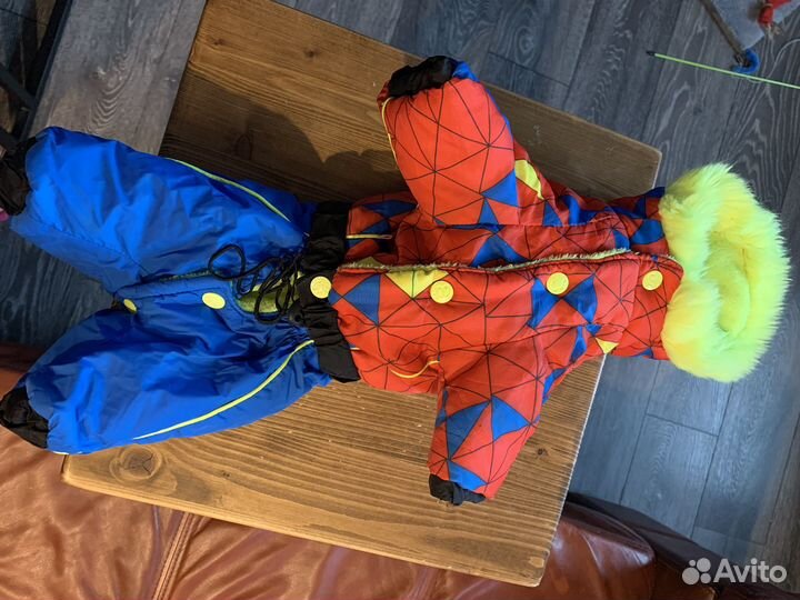 Зимний комбинезон для маленькой собаки