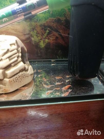 В хорошие руки с хорошим уходом