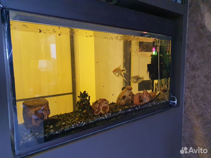 Аквариум с крышкой 110 л