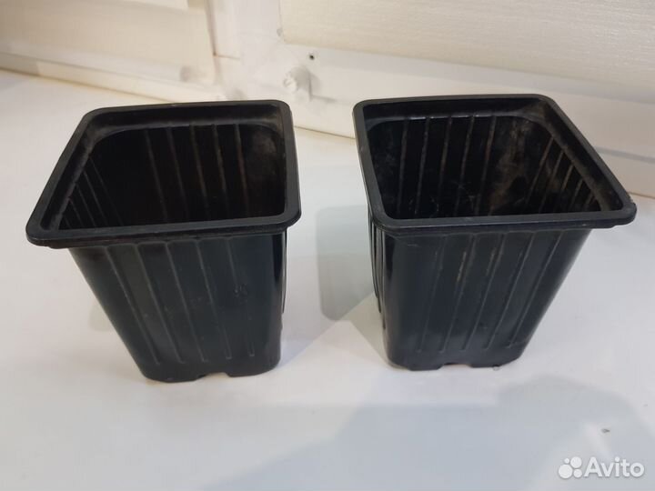 Стаканы для рассады