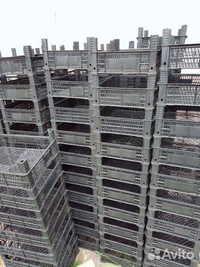 Пластиковые ящики бу