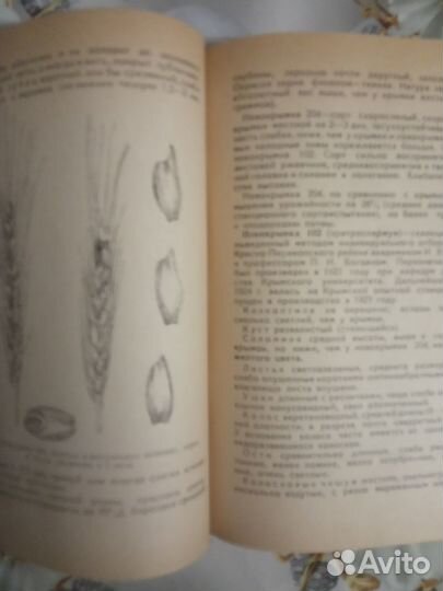 Полевые культуры Крыма Богдан П. 1949 г