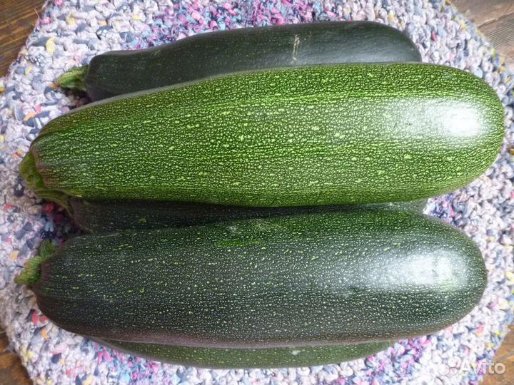 Кабачки Цукини домашние \ Органик