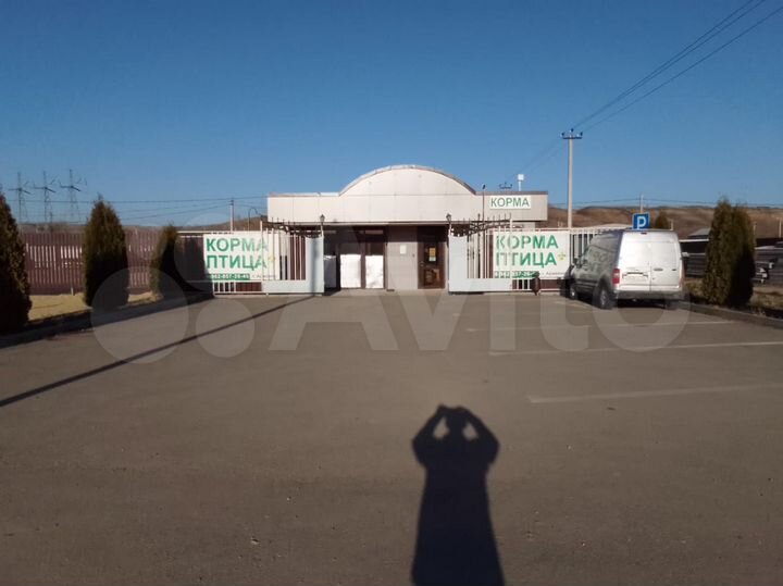 Торговая площадь, 80.2 м²