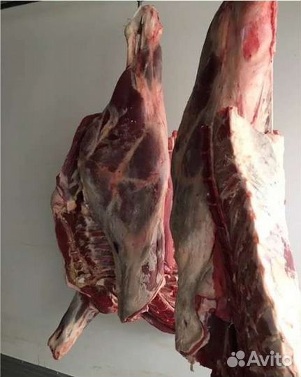 Мясо говядина,телятина, баранина
