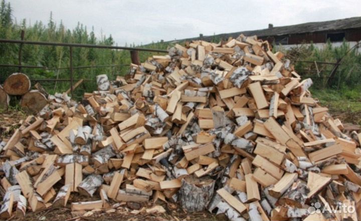 Дрова березовые колотые