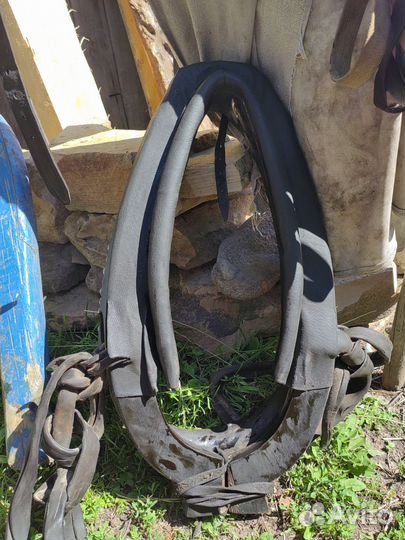 Конская упряжь