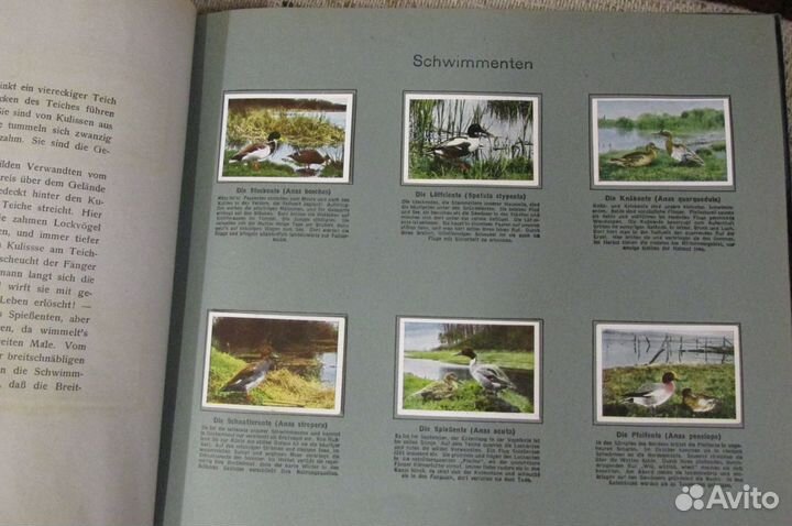 Коллекционный альбом вкладыши Птицы Германия