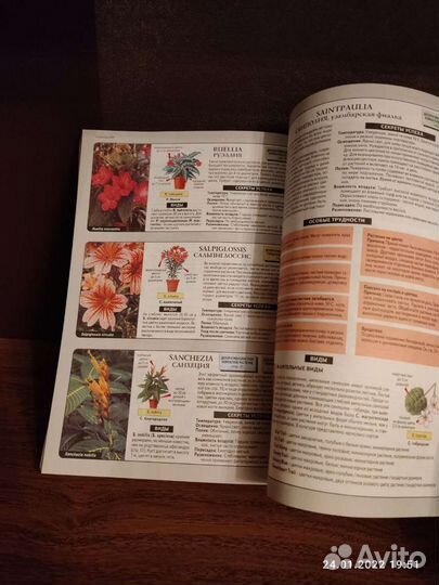 Книги о растениях