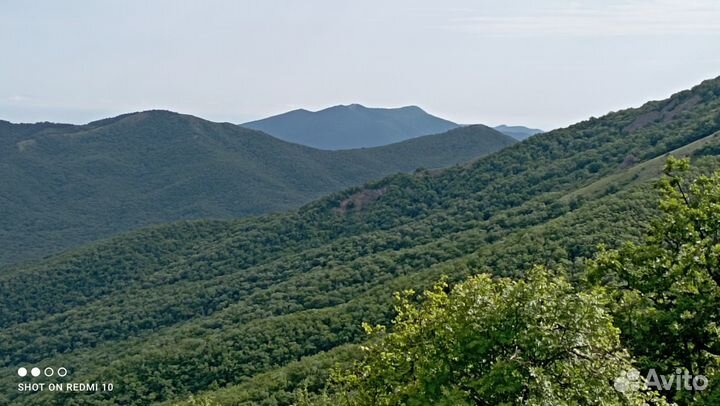 Конные прогулки