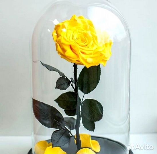 Розы в колбе любые
