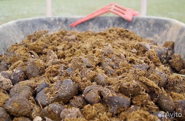 Навоз, перегной с доставкой