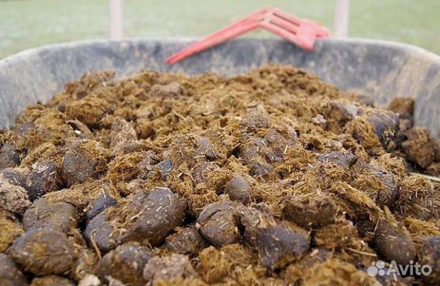 Навоз, перегной с доставкой