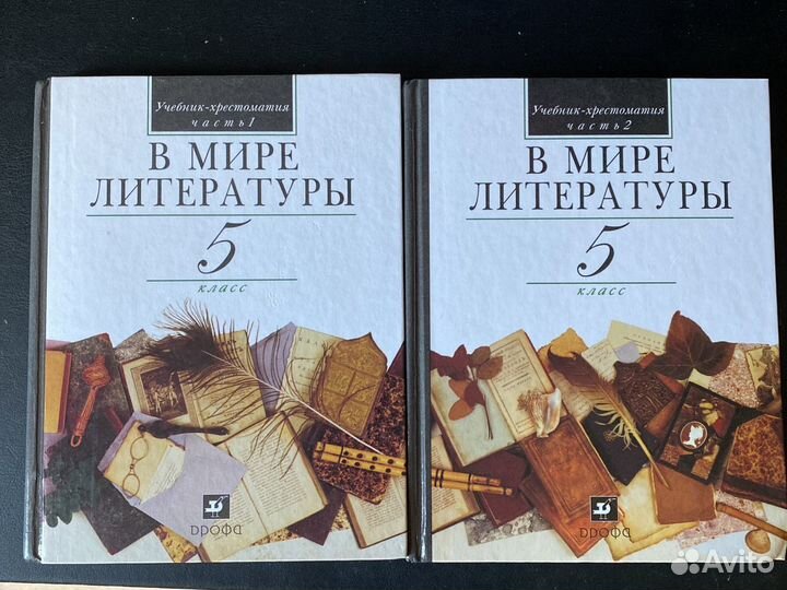 Учебник-хрестоматия В мире литературы в 2 частях
