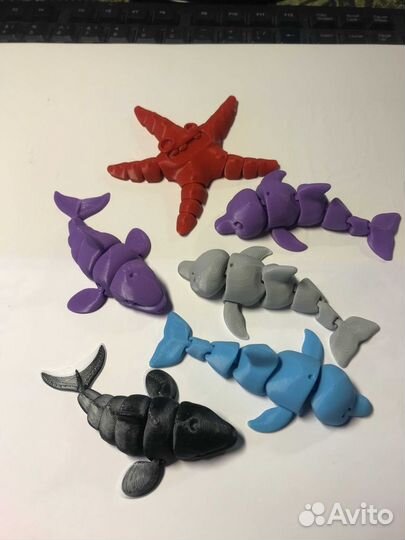 Обитатели моря: касатка дельфин кит морская звезда