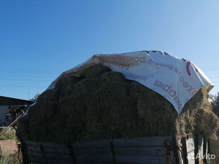 Сено в рулонах и тюках