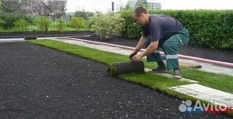 Газон рулонный