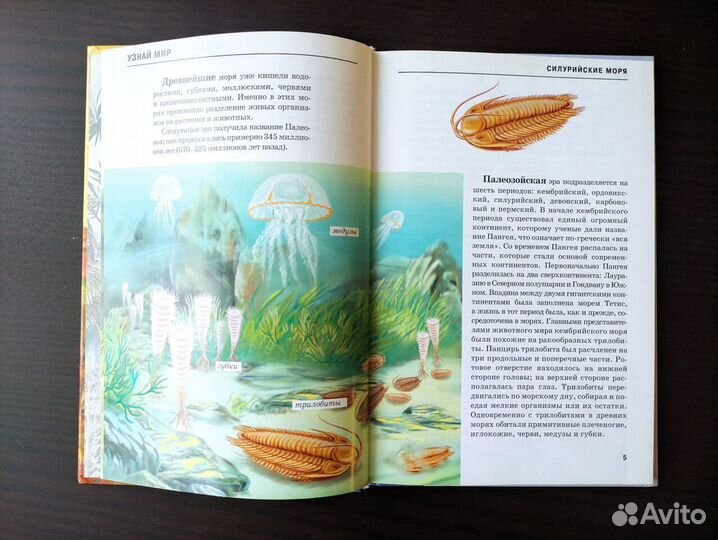 Книга детская 