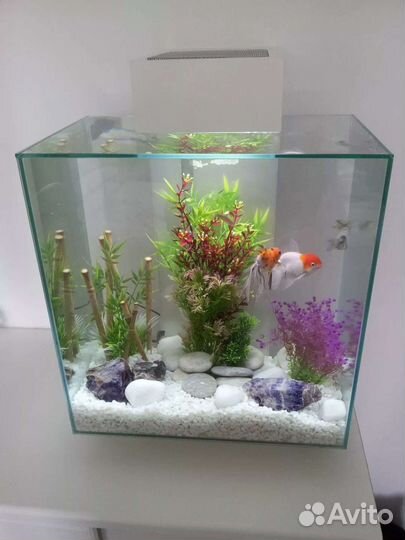 Чистка аквариума