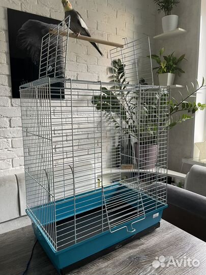 Клетка для попугая