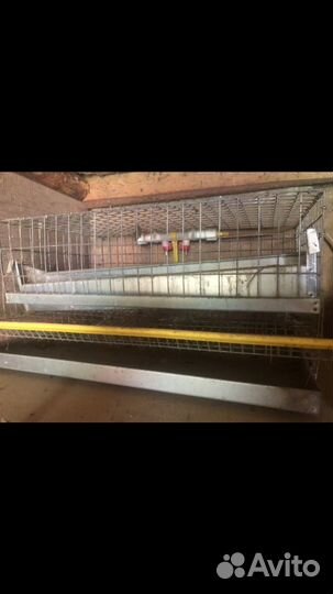 Клетки для перепелов