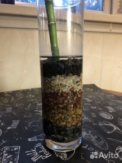 Набор грунтов для вазы с бабмуком к 8 марта