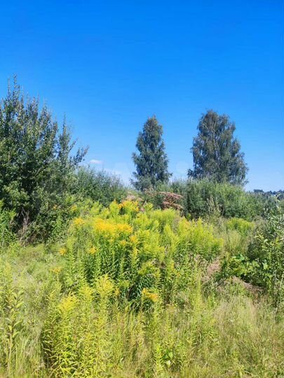 Участок 15 сот. (ИЖС)