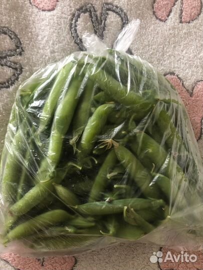 Горох зеленый