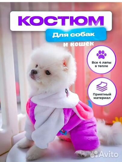 Костюм для кошек и собак