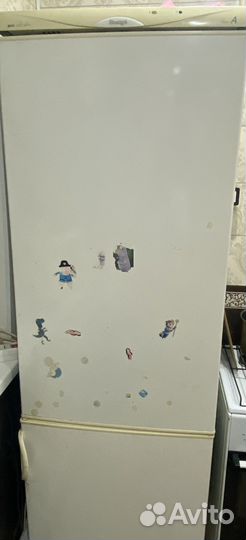 Холодильник snaige