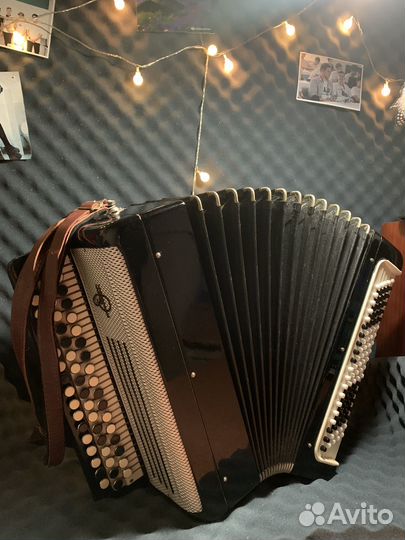 Баян тульский терка