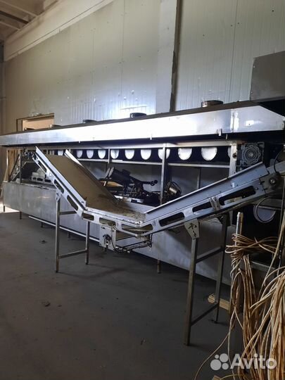 Линия жарки орехов и семечек в масле