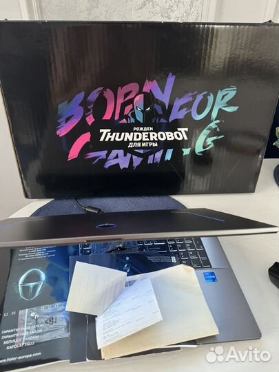 Thunderobot 911 Plus X 17.3