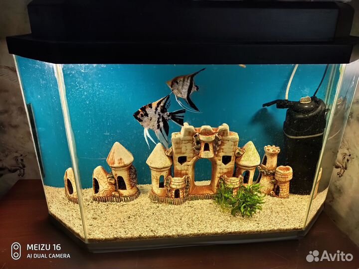 Аквариум