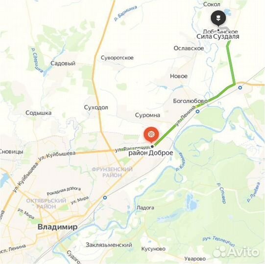 Семена люпина