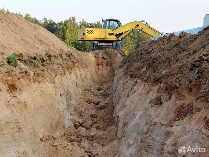 Песок тараканом