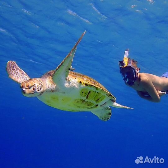 Маска полнолицевая для подводного плавания OceanRe