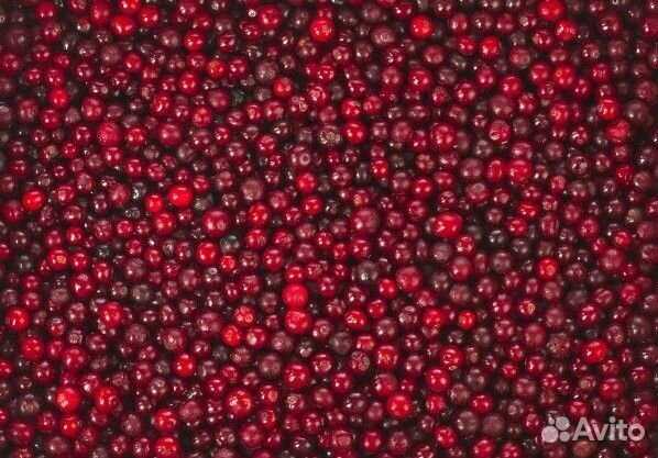 Клюква отборная крупная шоковая заморозка