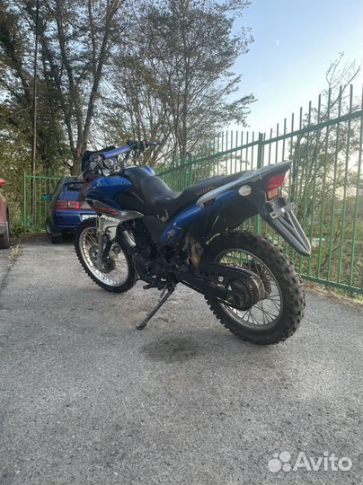 Irbis XR 250