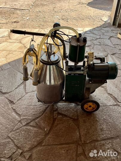 Доильный аппарат бу