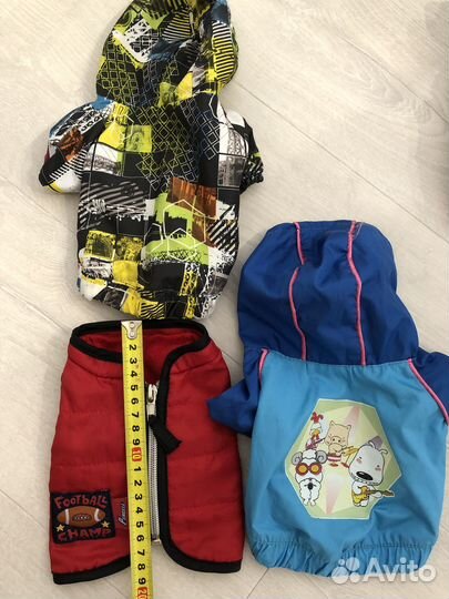 Одежда для собак