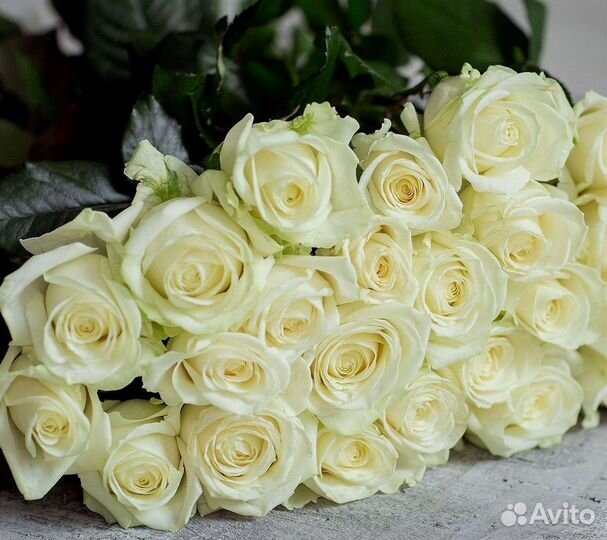 Букет роз 101 роза 51 роза