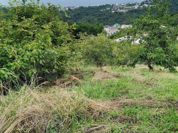 Участок 6 сот. (ИЖС)