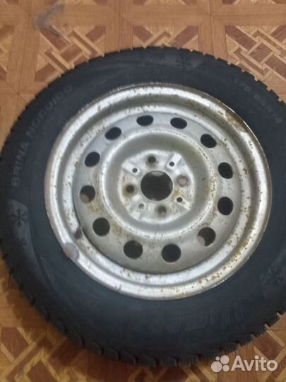 Viatti Brina Nordico V-522 175/65 R14 82T